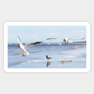 Two seagulls flying above the water Sticker